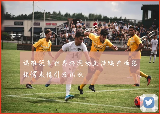 诺维茨基世界杯现场支持瑞典面露错愕表情引发热议